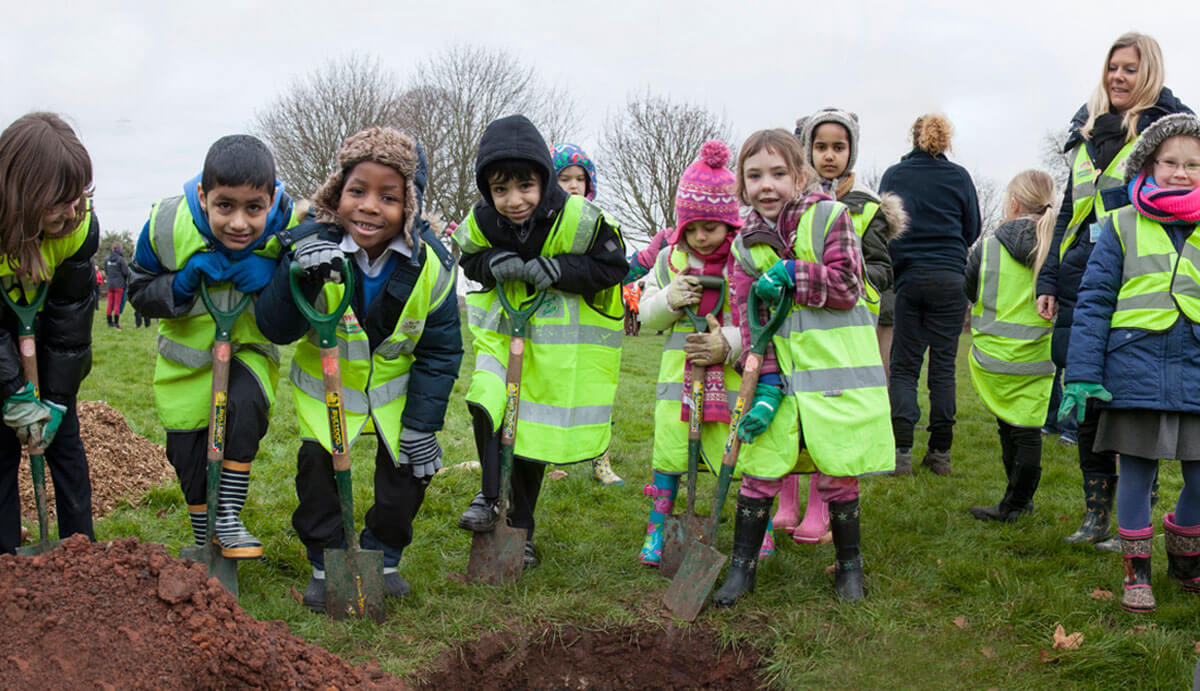 Helping Young Planting